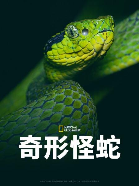 海角黑料《奇形怪蛇》免费在线观看